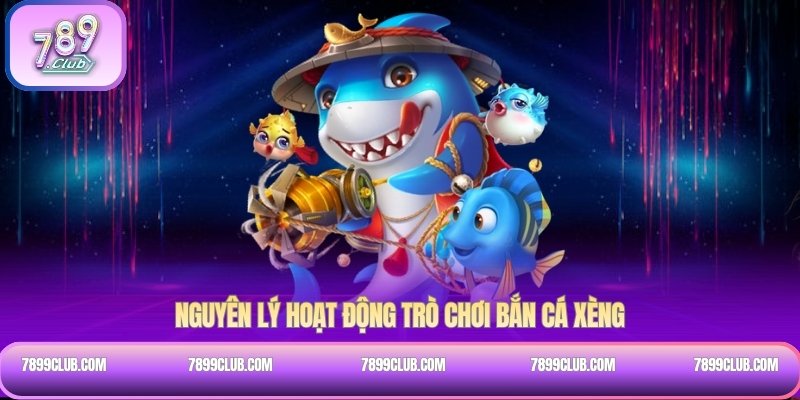 Nguyên lý hoạt động trò chơi bắn cá Xèng