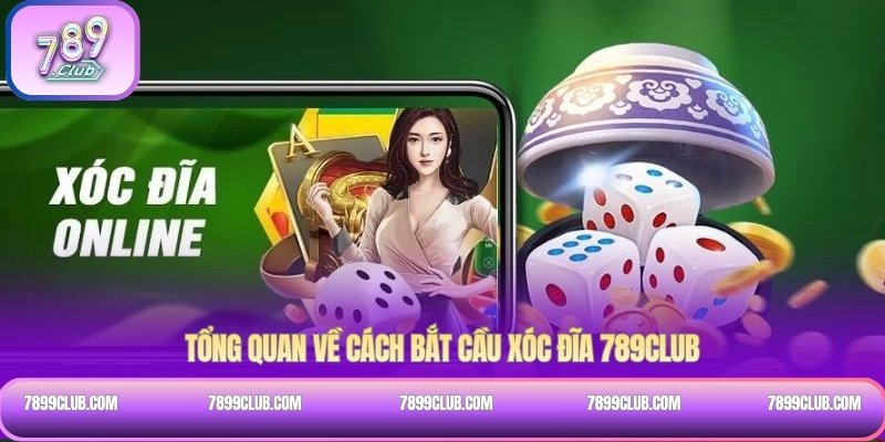 Tổng quan về cách bắt cầu xóc đĩa 789Club
