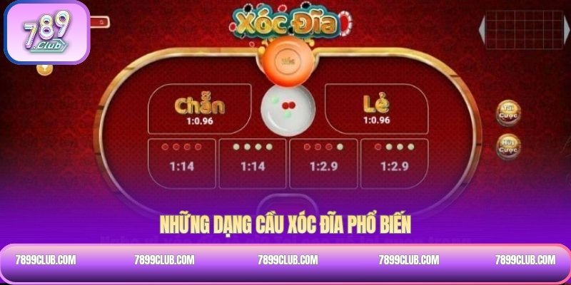 Những dạng cầu xóc đĩa phổ biến