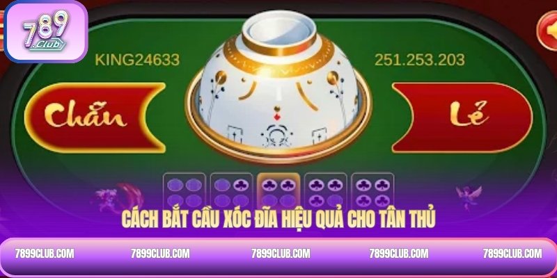 Cách bắt cầu xóc đĩa hiệu quả cho tân thủ