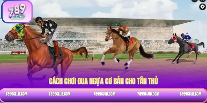 Cách chơi đua ngựa cơ bản cho tân thủ