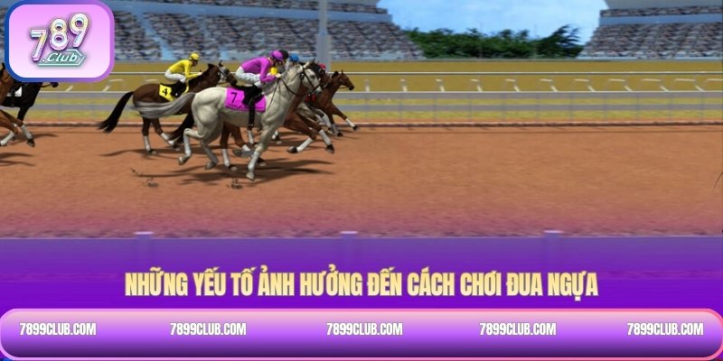 Những yếu tố ảnh hưởng đến cách chơi đua ngựa