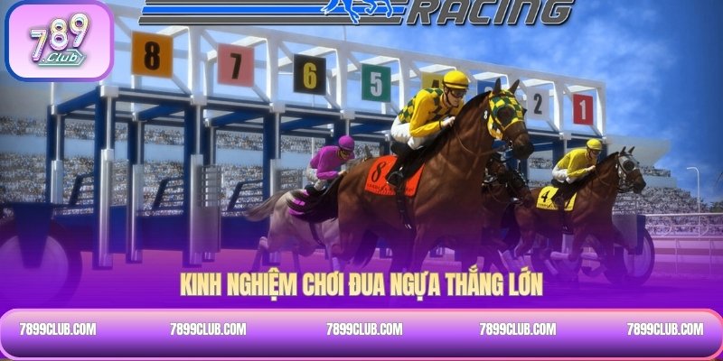 Kinh nghiệm chơi đua ngựa thắng lớn