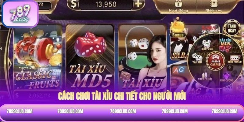 Cách chơi tài xỉu chi tiết cho người mới