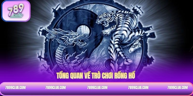 Tổng quan về trò chơi Rồng Hổ 