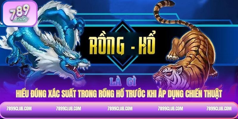 Hiểu đúng xác suất trong rồng hổ trước khi áp dụng chiến thuật