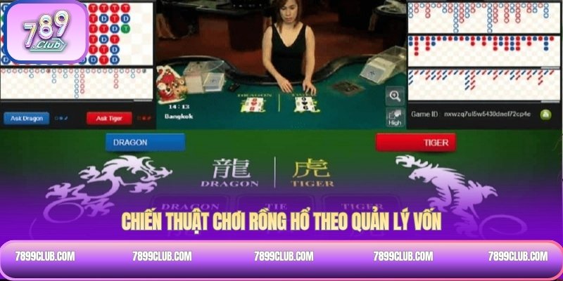Chiến thuật chơi rồng hổ theo quản lý vốn