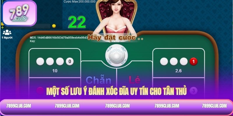 Một số lưu ý đánh xóc đĩa uy tín cho tân thủ