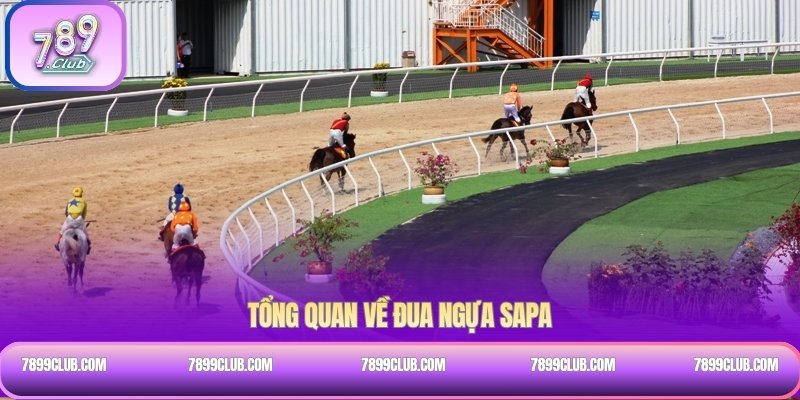 Tổng quan về đua ngựa sapa