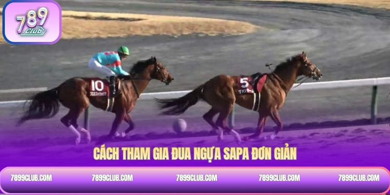 Cách tham gia đua ngựa sapa đơn giản