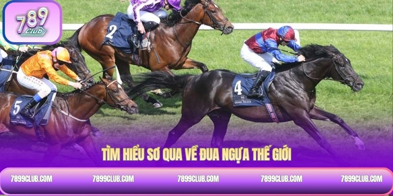 Tìm hiểu sơ qua về đua ngựa thế giới