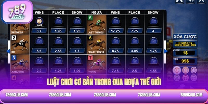Luật chơi cơ bản trong đua ngựa thế giới