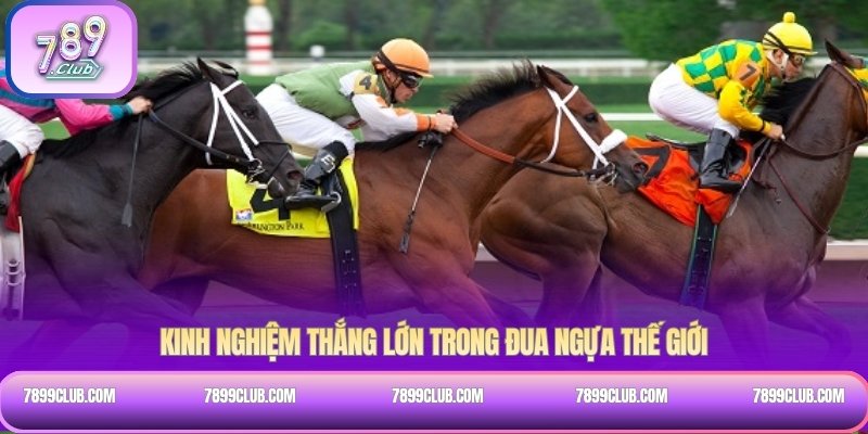 Kinh nghiệm thắng lớn trong đua ngựa thế giới