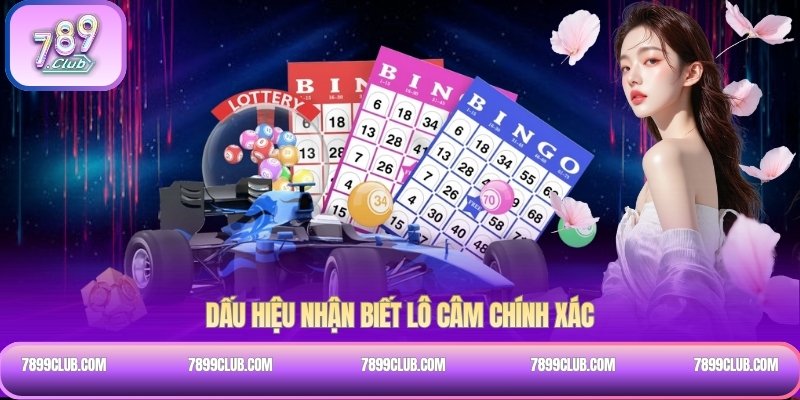 Dấu hiệu nhận biết lô câm chính xác