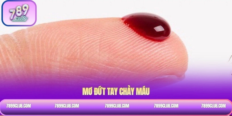 Mơ đứt tay chảy máu