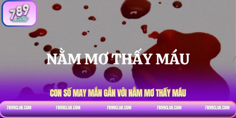 Con số may mắn gắn với nằm mơ thấy máu