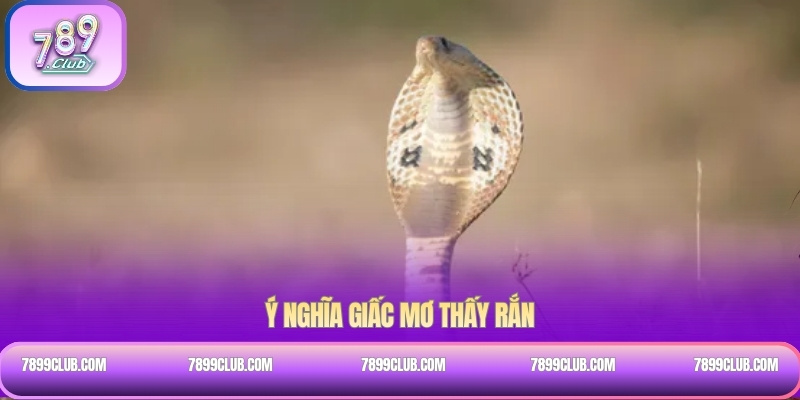 Ý nghĩa giấc mơ thấy rắn