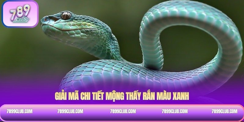 Giải mã chi tiết mộng thấy rắn màu xanh