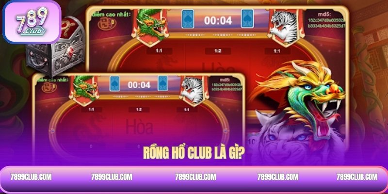 Rồng hổ club là gì?