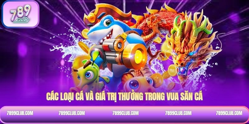 Các loại cá và giá trị thưởng trong Vua săn cá