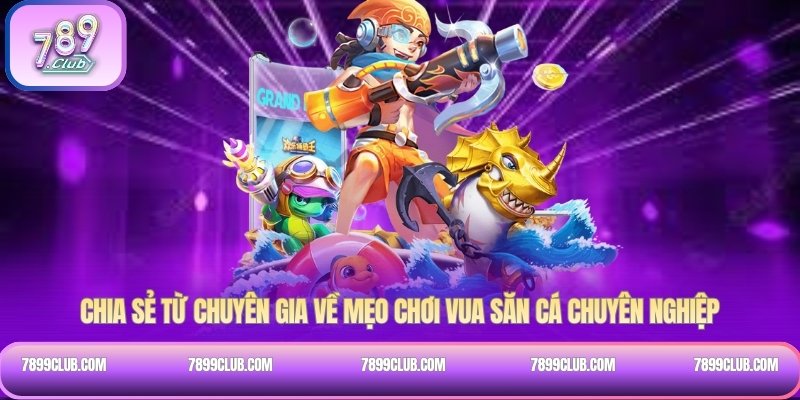 Chia sẻ từ chuyên gia về mẹo chơi Vua săn cá chuyên nghiệp